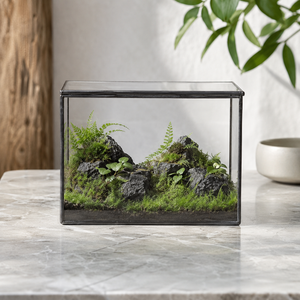 Terrarium cuboïde en verre pour micro-paysages