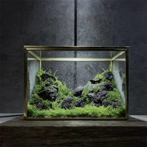 Terrarium cuboïde en verre pour micro-paysages