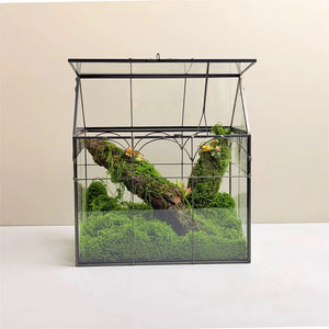 Terrarium en verre 18 × 12 × 22,5 cm pour mousse et micro-paysages