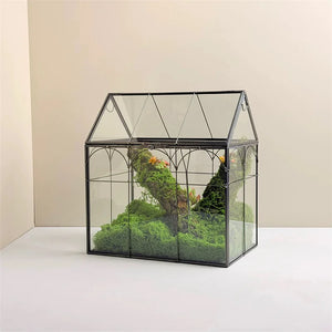 Terrarium en verre 18 × 12 × 22,5 cm pour mousse et micro-paysages
