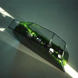 Terrarium géométrique en verre 32,5 cm pour mousse et micro-paysages